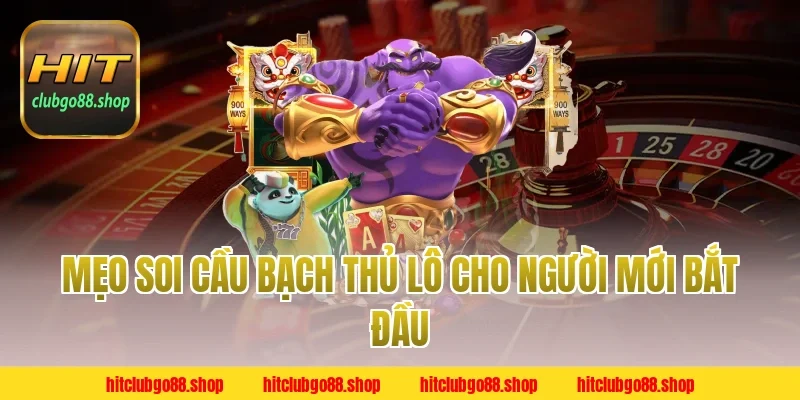 Mẹo soi cầu bạch thủ lô cho người mới bắt đầu