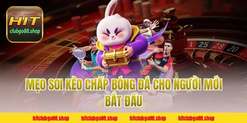 Mẹo soi kèo chấp bóng đá cho người mới bắt đầu