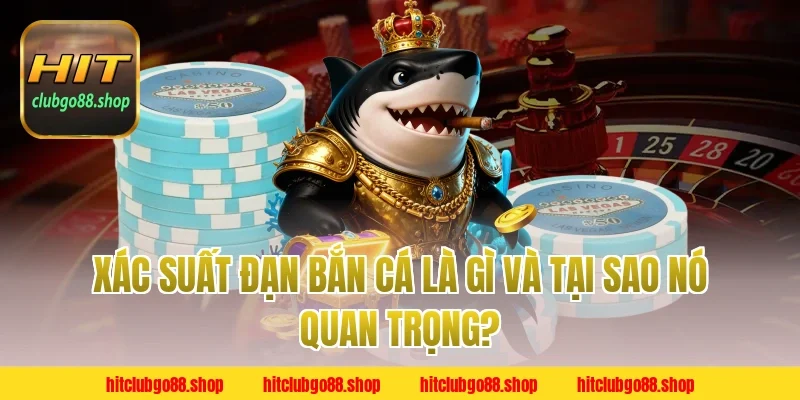 Xác Suất Đạn Bắn Cá Là Gì Và Tại Sao Nó Quan Trọng?